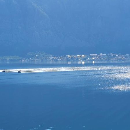 Magnolia Adriatic Apartment Kotor Bagian luar foto