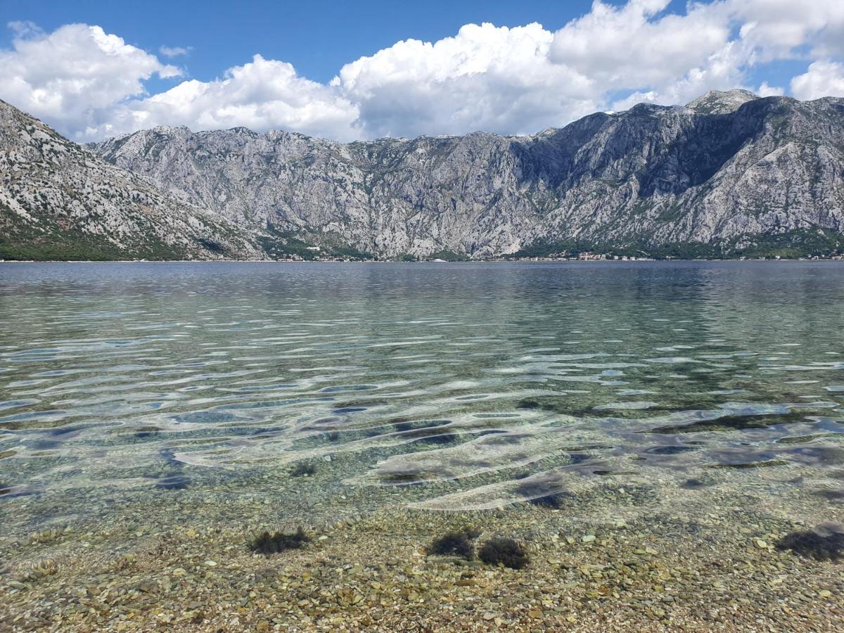 Magnolia Adriatic Apartment Kotor Bagian luar foto