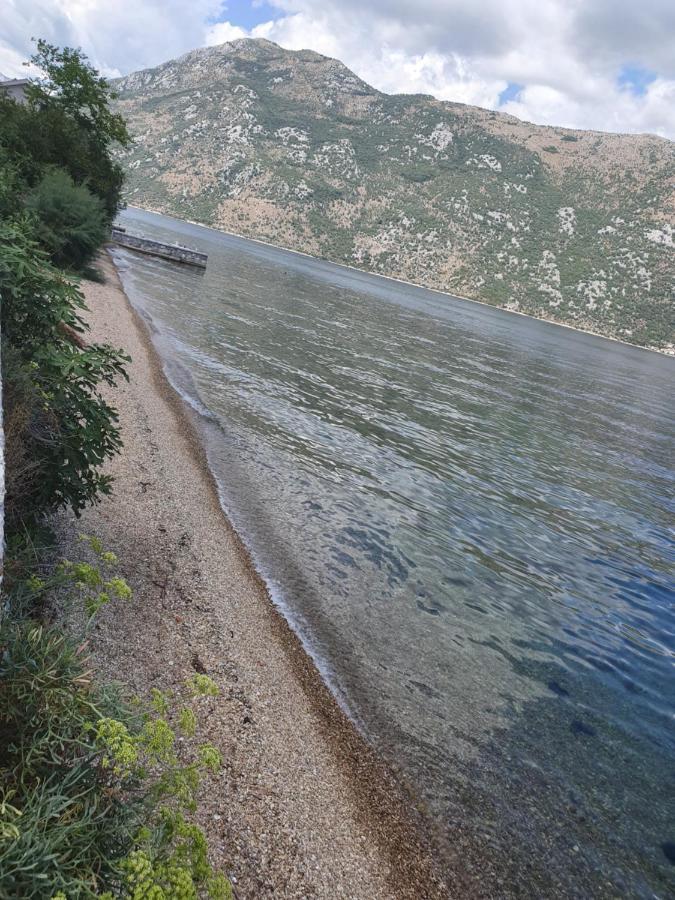 Magnolia Adriatic Apartment Kotor Bagian luar foto
