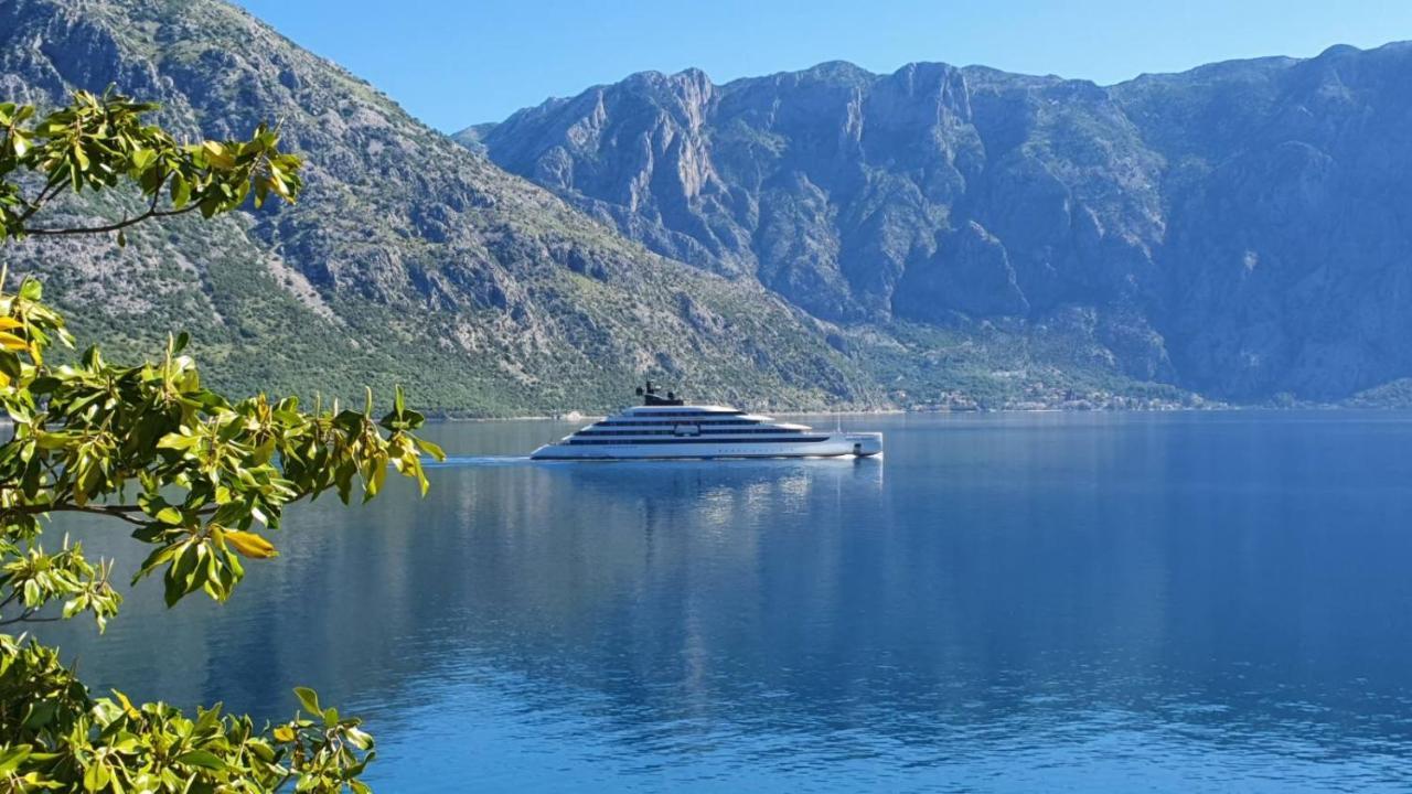 Magnolia Adriatic Apartment Kotor Bagian luar foto