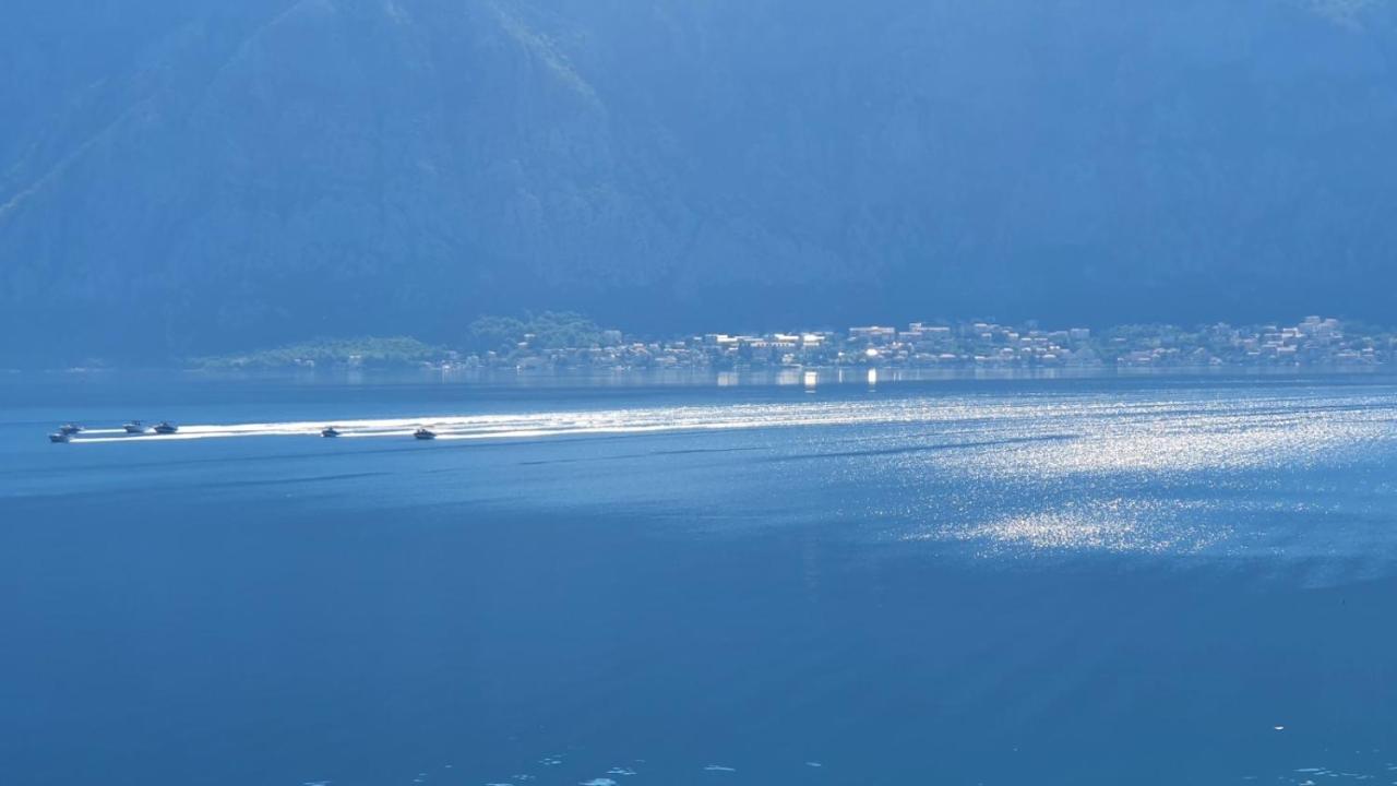 Magnolia Adriatic Apartment Kotor Bagian luar foto