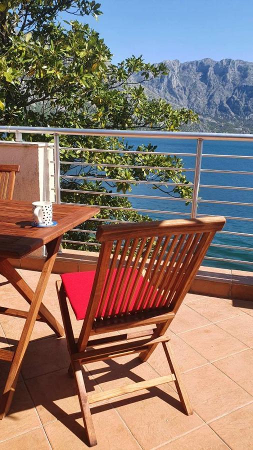 Magnolia Adriatic Apartment Kotor Bagian luar foto